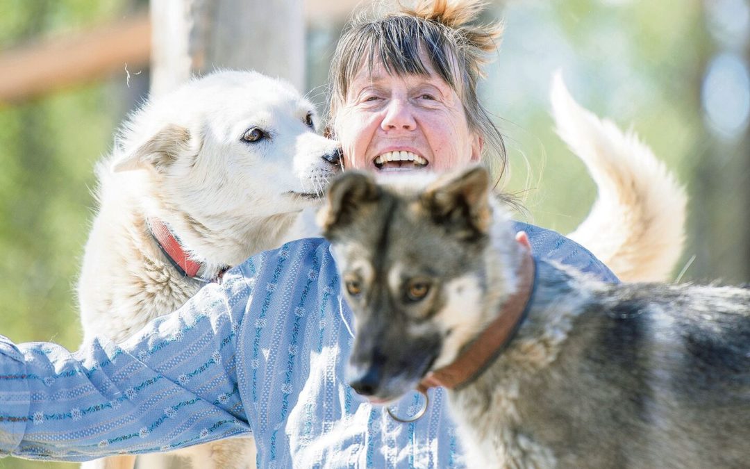 BauernZeitung – Die Schweizer Huskyfrau in Lappland