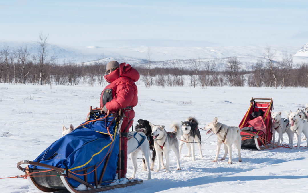 Lappland-Buch mit Lotti Meier geht in die Nächste Auflage!